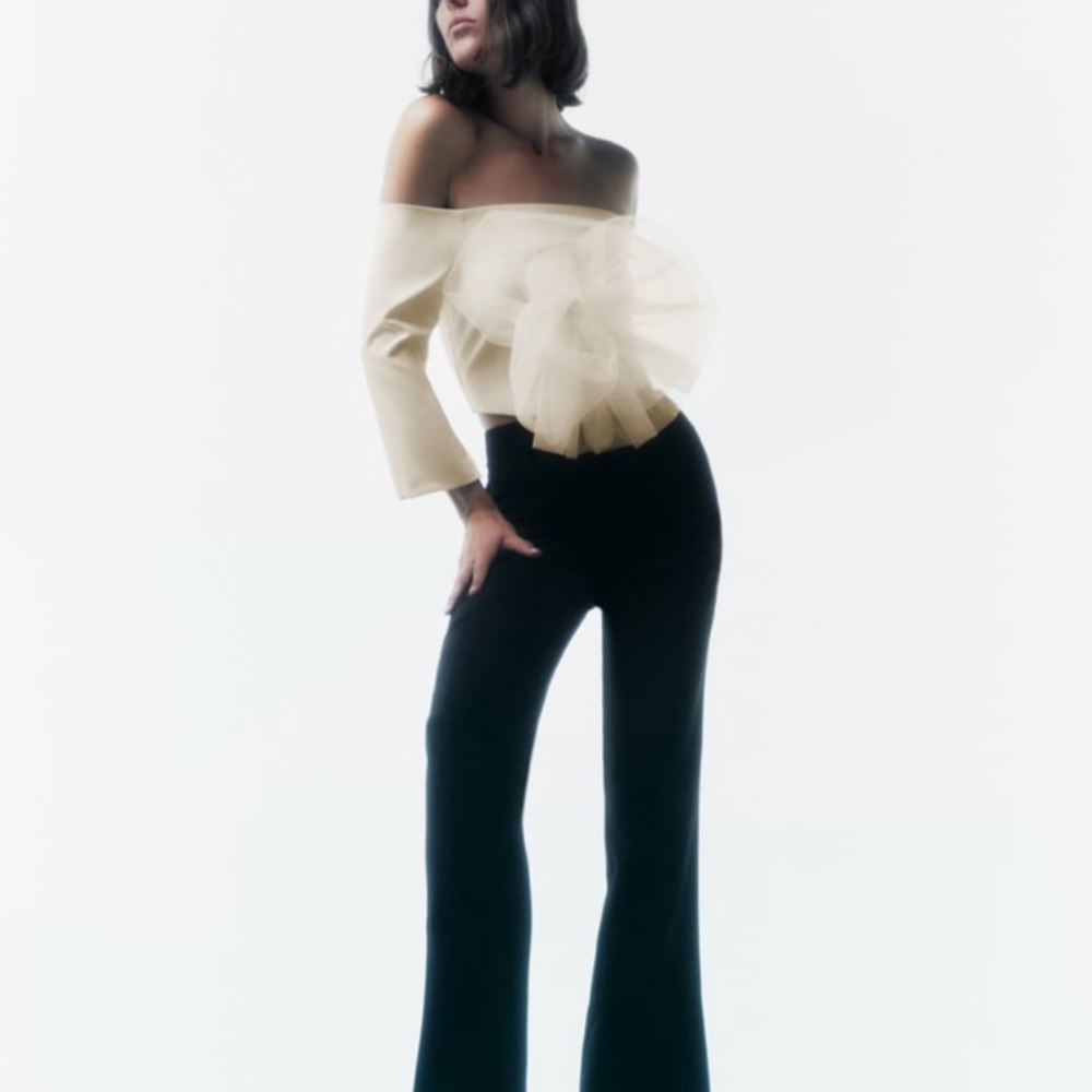 ZARA Bloggers Favorite CROPPED FLORAL TULLE TOP